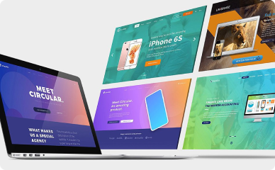 Website Design